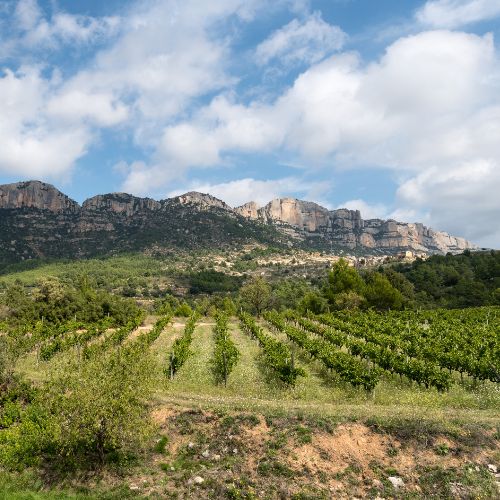 Priorat i Montsant