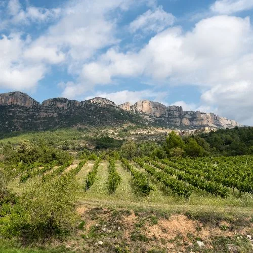 Priorat i Montsant