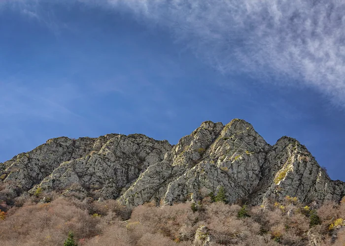 lloguer de furgonetes per viatjar
