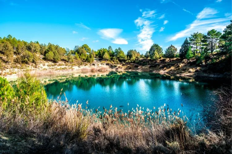 Cardenillas Lago