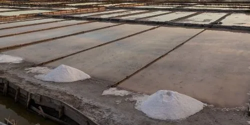 salinas aveiro e1711355769121