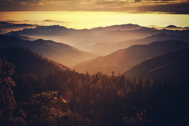 sierra nevada